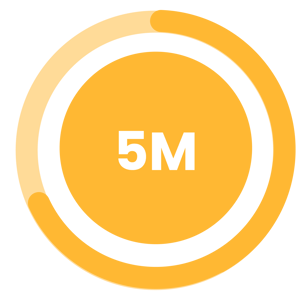 5M