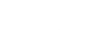 Logos Banner Header-weiss-Accioan